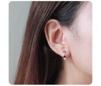 Silver Stud Earring STS-5878